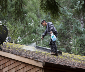 Roof Inspection